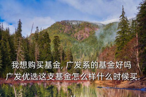 我想購買基金, 廣發(fā)系的基金好嗎 廣發(fā)優(yōu)選這支基金怎么樣什么時候買...