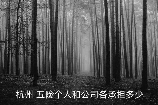  杭州 五險個人和公司各承擔(dān)多少