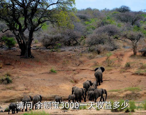 請(qǐng)問 余額寶3000一天收益多少
