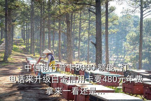 中信打電話提額度提多少,中信降額后打電話要求恢復(fù)額度