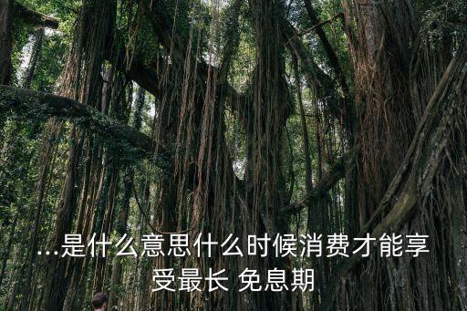 ...是什么意思什么時候消費才能享受最長 免息期
