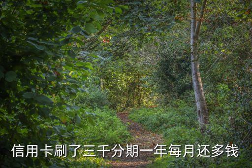 刷3000手續(xù)費(fèi)多少錢啊,pos機(jī)刷3000手續(xù)費(fèi)多少