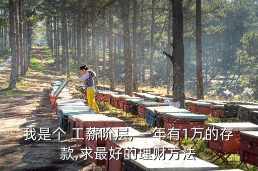 我是個(gè) 工薪階層, 一年有1萬(wàn)的存款,求最好的理財(cái)方法
