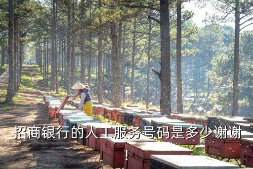 招商銀行總臺電話號碼是多少