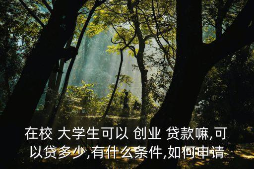 大學(xué)創(chuàng)業(yè)貸款能貸多少,研究生創(chuàng)業(yè)貸款能貸多少