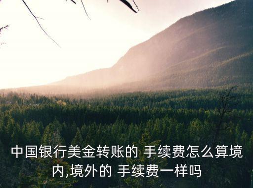 中國銀行美金轉賬的 手續(xù)費怎么算境內,境外的 手續(xù)費一樣嗎