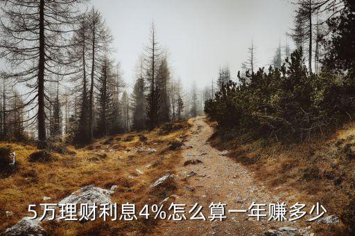 5萬理財利息4%怎么算一年賺多少
