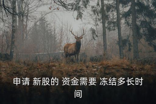 打新股 凍結資金多少天,現(xiàn)在打新股需要凍結資金嗎
