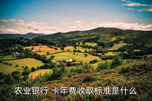 農(nóng)行白金儲(chǔ)蓄卡年費(fèi)多少,農(nóng)行儲(chǔ)蓄卡年費(fèi)可以取消嗎