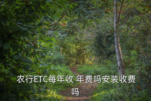 廣東農(nóng)行etc年費(fèi)多少,農(nóng)行etc居然扣了160的年費(fèi)
