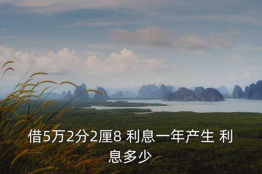 借5萬2分2厘8 利息一年產(chǎn)生 利息多少