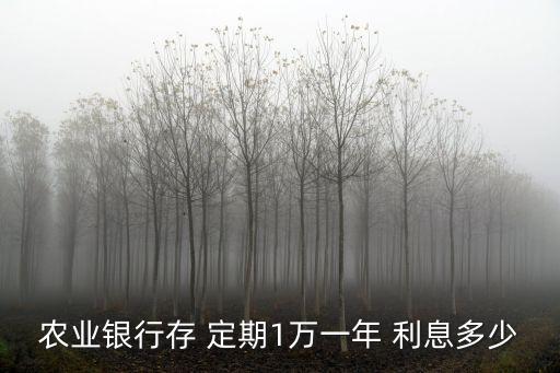 農(nóng)業(yè)銀行存 定期1萬一年 利息多少