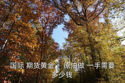 期貨原油多少錢一手,原油期貨實時行情軟件下載