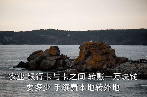 農(nóng)業(yè) 銀行卡與卡之間 轉(zhuǎn)賬一萬(wàn)塊錢(qián)要多少 手續(xù)費(fèi)本地轉(zhuǎn)外地