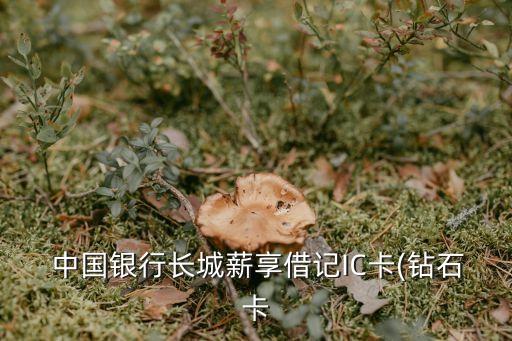  中國銀行長城薪享借記IC卡(鉆石卡