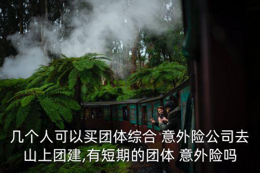 幾個(gè)人可以買團(tuán)體綜合 意外險(xiǎn)公司去山上團(tuán)建,有短期的團(tuán)體 意外險(xiǎn)嗎