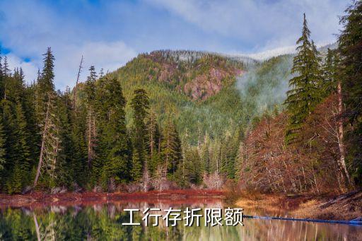 工行保本理財質(zhì)押封頂多少錢