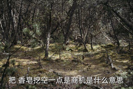 一塊香皂有多少利潤(rùn),力士香皂一塊多少克