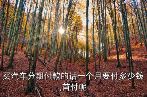 買汽車分期付款的話一個月要付多少錢,首付呢