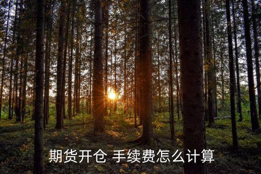 螺紋期貨手續(xù)費(fèi)多少錢,期貨螺紋的手續(xù)費(fèi)是雙向的嗎