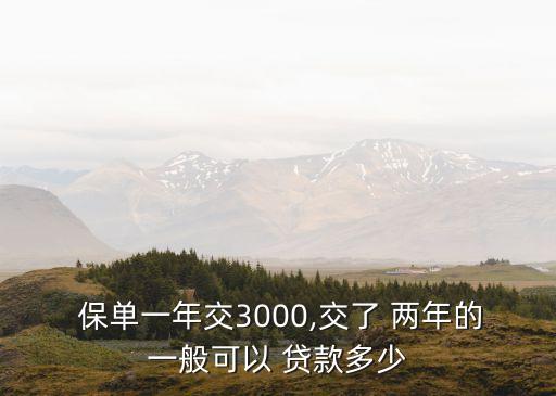 保單兩年可以貸款多少錢,3000保單貸款多少
