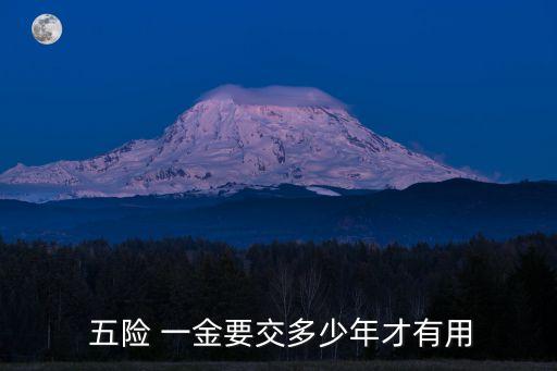 五險一金多少年