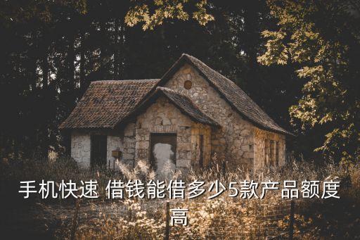 借錢最多貸多少,網(wǎng)貸借錢多少會(huì)坐牢