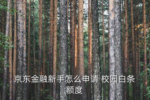 京東校園起始額度能達(dá)到多少