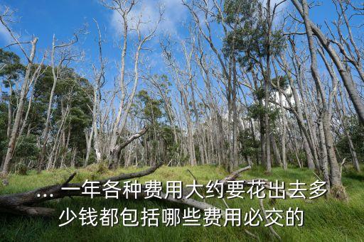 跑車一年要交多少錢,跑車保養(yǎng)費(fèi)用一年多少