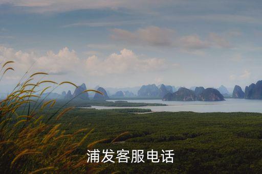 浦發(fā)銀行打回訪電話號(hào)碼是多少,95528是浦發(fā)銀行電話號(hào)碼嗎