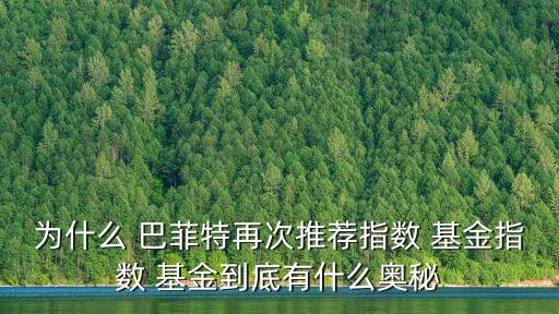 為什么 巴菲特再次推薦指數(shù) 基金指數(shù) 基金到底有什么奧秘