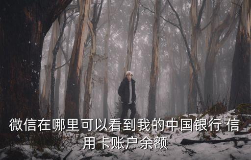 信用卡提額微信號多少,微信朋友圈信用卡提額是不是真的