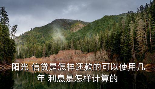 陽光信貸四萬利息多少錢,江南銀行陽光信貸利息