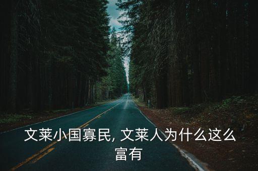  文萊小國寡民, 文萊人為什么這么富有