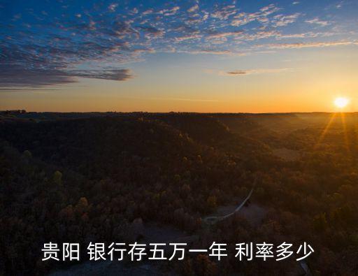 貴陽 銀行存五萬一年 利率多少