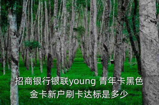 招商銀行銀聯young 青年卡黑色金卡新戶刷卡達標是多少