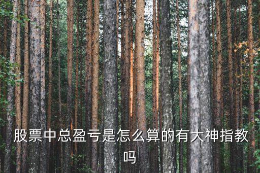  股票中總盈虧是怎么算的有大神指教嗎
