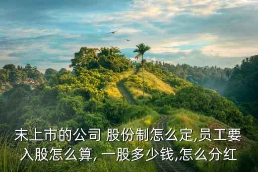 末上市的公司 股份制怎么定,員工要入股怎么算, 一股多少錢,怎么分紅
