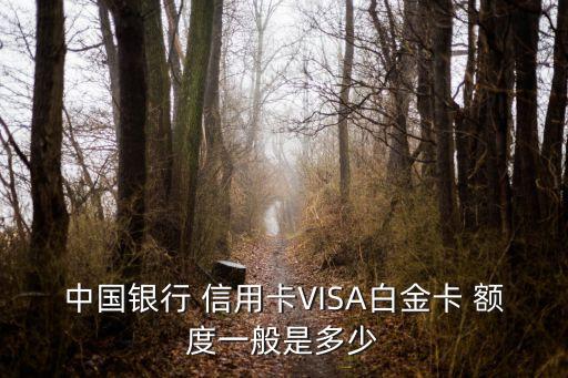 中行多幣種信用卡額度一般多少