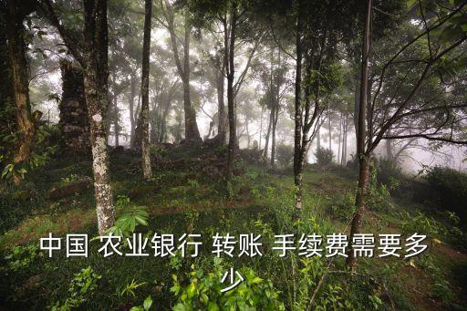 農(nóng)業(yè)柜員機(jī)跨行轉(zhuǎn)賬手續(xù)費(fèi)多少錢
