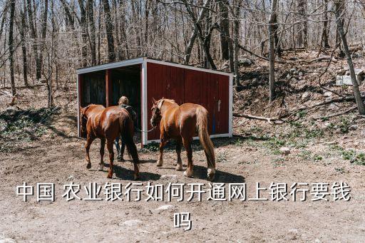 中國 農(nóng)業(yè)銀行如何開通網(wǎng)上銀行要錢嗎