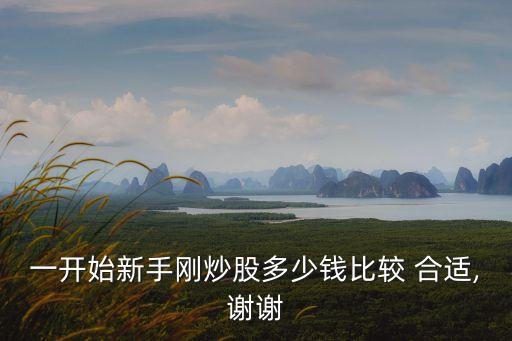 買股票多少價(jià)格的合適,第一次買股票買多少合適