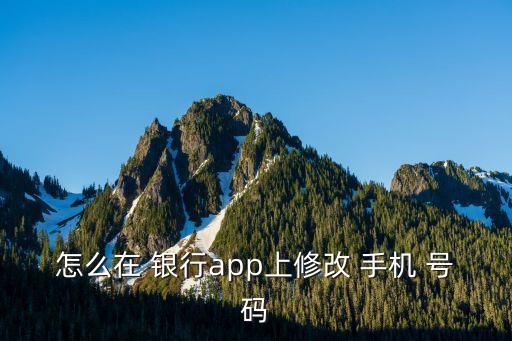怎么改手機銀行的號碼是多少,銀行客服可以改手機預(yù)留號碼嗎
