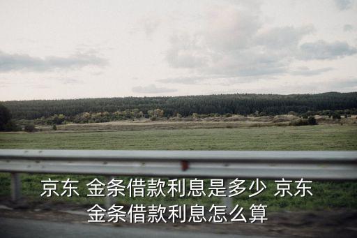 京東金條能借多少錢