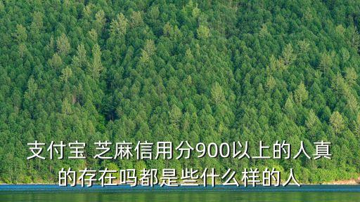 芝麻分800以上有多少