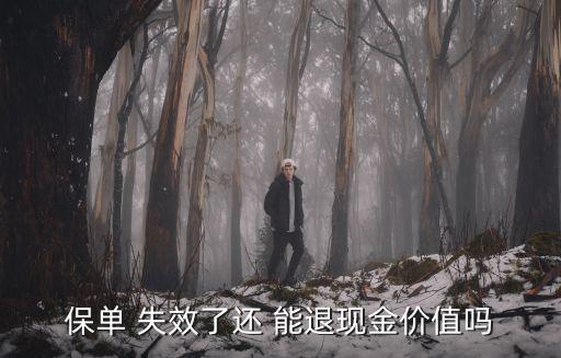 保單 失效了還 能退現(xiàn)金價(jià)值嗎