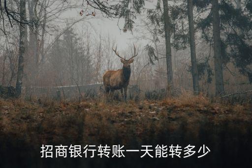 招行的額度是多少錢,招行young卡額度多少