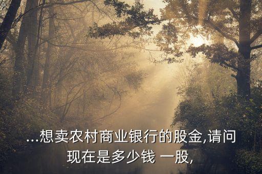 ...想賣農(nóng)村商業(yè)銀行的股金,請問現(xiàn)在是多少錢 一股,