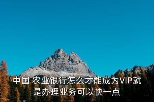 中國 農(nóng)業(yè)銀行怎么才能成為VIP就是辦理業(yè)務(wù)可以快一點