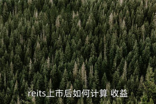 一二資本一期收益多少錢(qián)